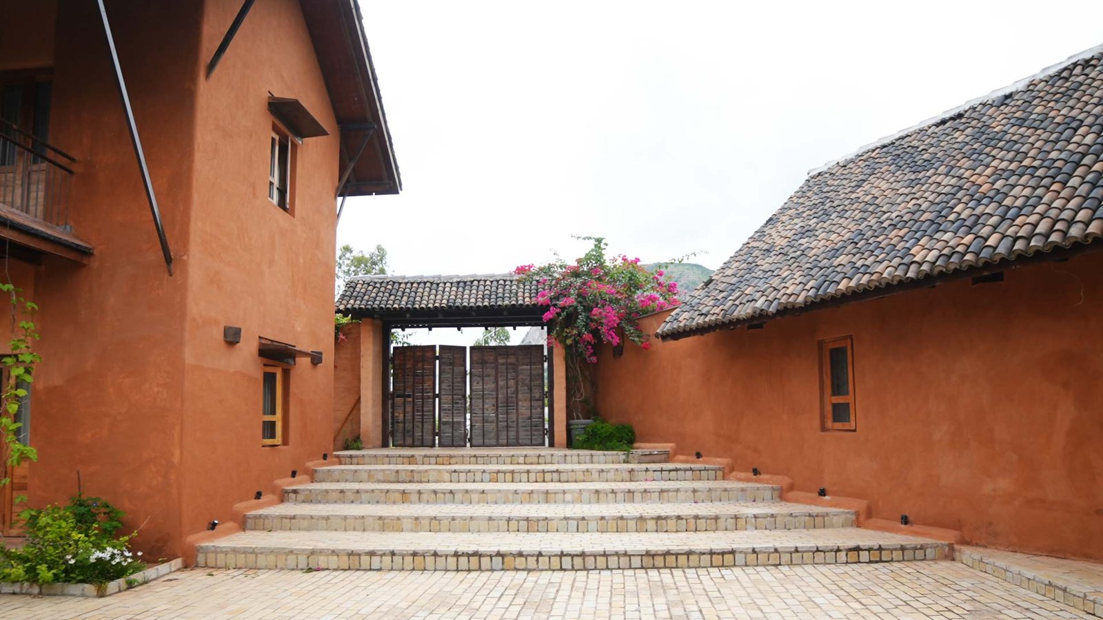 banner-image